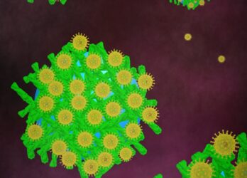 Neue Methode zur Isolierung von HIV-Partikeln entwickelt