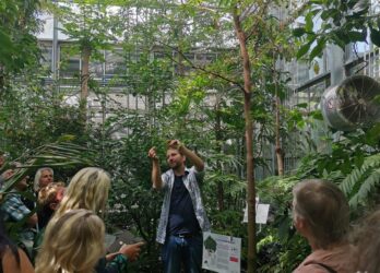 Sommerfest des Botanischen Gartens am 29. Juni