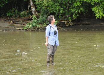 Ein Tropen-Trail für „Bat Woman“