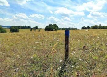 Gesunde Böden, gesunde Menschen – neue Wege für die Landwirtschaft